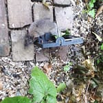 Muis in val